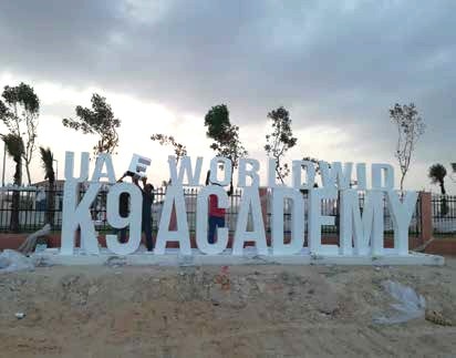 Project4